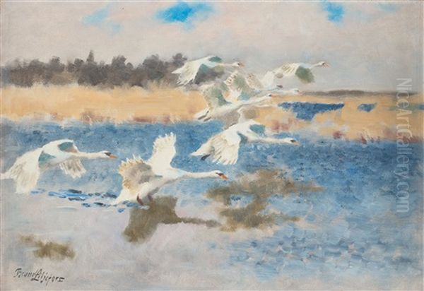 Swans Oil Painting by Bruno Andreas Liljefors