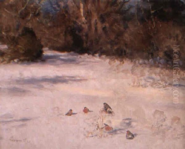 Sommarmotiv Fran Visby Oil Painting by Axel Lindman