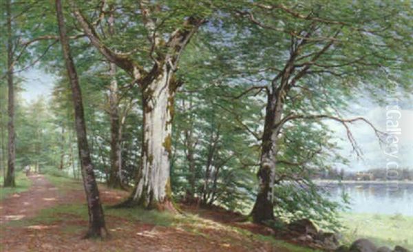 Bokskog Oil Painting by Axel Hjalmar Lindqvist