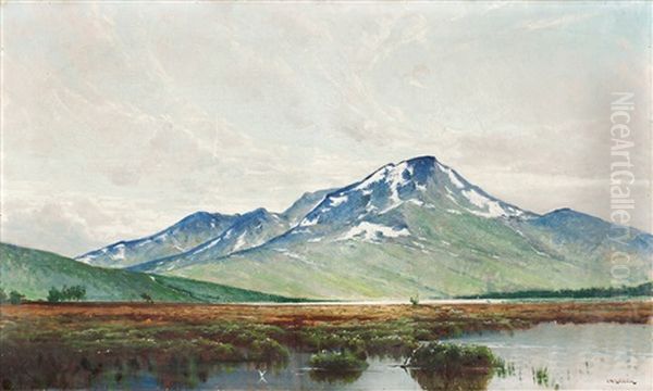 Snasahogarna Oil Painting by Arvid Mauritz Lindstroem