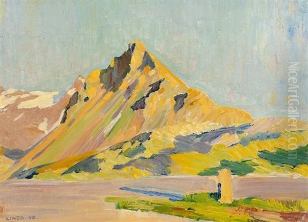 Bernina-passhohe Oil Painting by Carl August Liner