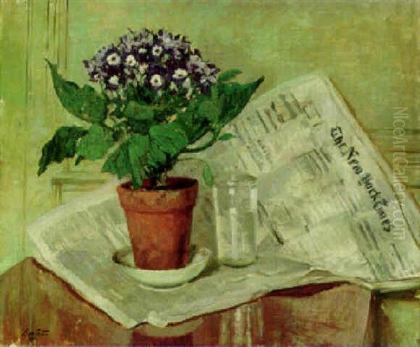 Cineraria And The New York Times Oil Painting by Edward Barnard Lintott