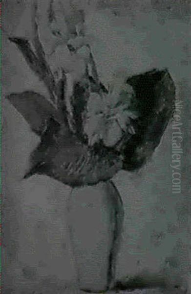 Still Life Of Cannas Oil Painting by Edward Barnard Lintott