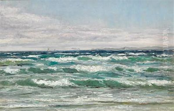 The Sea Off The Coast Of Hornbaek Oil Painting by Carl Locher