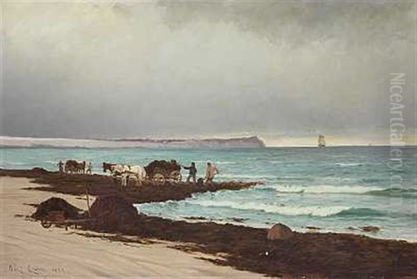 Tangsamlere Ved Hornbaek Strand Oil Painting by Carl Locher