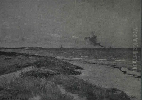 Parti Fra Den Nordsjaellandske Kyst Oil Painting by Carl Locher