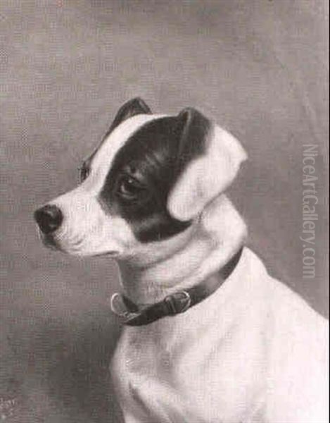 A Jack Russell Terrier Oil Painting by Edwin (of Bath) Loder