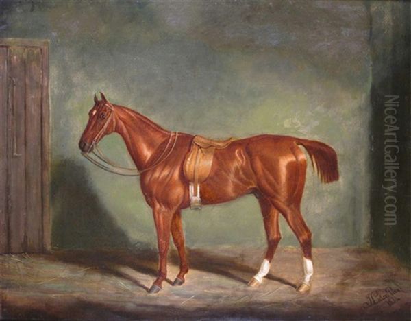 A Chestnut Hunter In A Stable Oil Painting by James Loder Of Bath