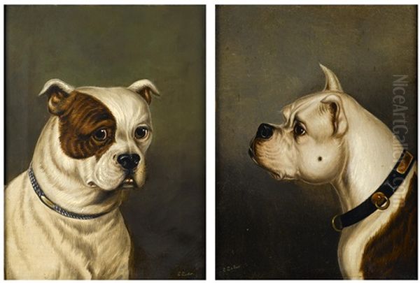 Two Bulldogs (2 Works) Oil Painting by James Loder Of Bath