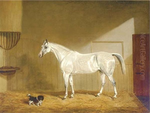 A Grey Hunter And Spaniel In A Loose Box Oil Painting by James Loder Of Bath