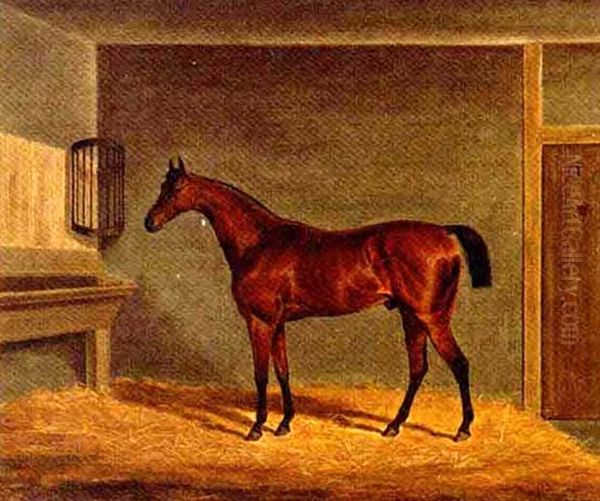 A Bay Racehorse In A Stable Oil Painting by James Loder Of Bath