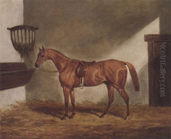 A Saddled Chestnut Hunter In A Stable Oil Painting by James Loder Of Bath