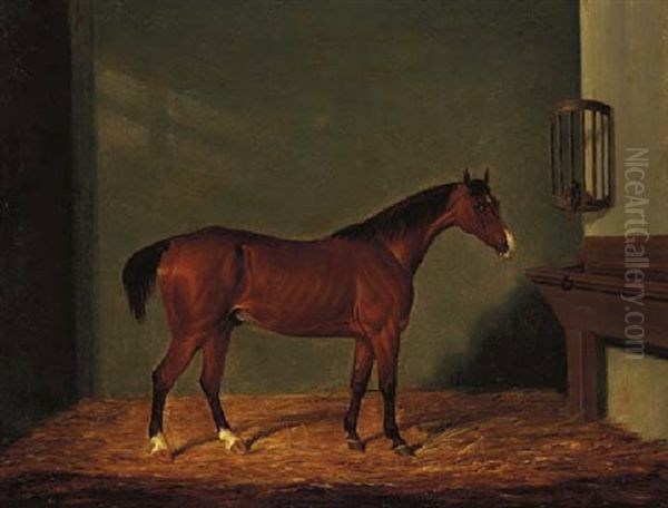 A Bay Hunter In A Stable Oil Painting by James Loder Of Bath
