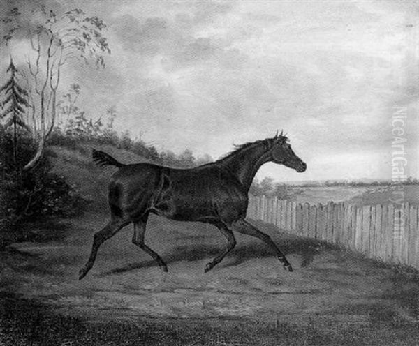 An Old Hunter Following The Hunt Oil Painting by James Loder Of Bath