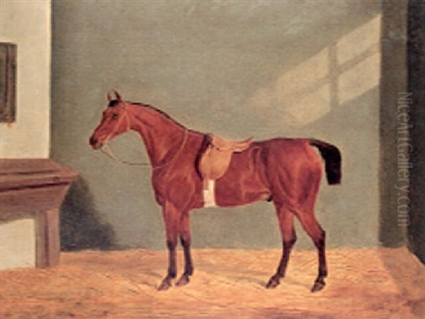 A Saddled Chestnut Hunter In A Loosebox Oil Painting by James Loder Of Bath
