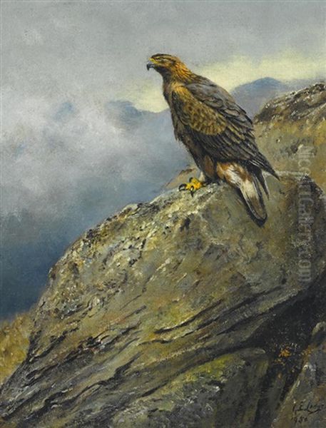A Golden Eagle Perched On A Rock Oil Painting by George Edward Lodge