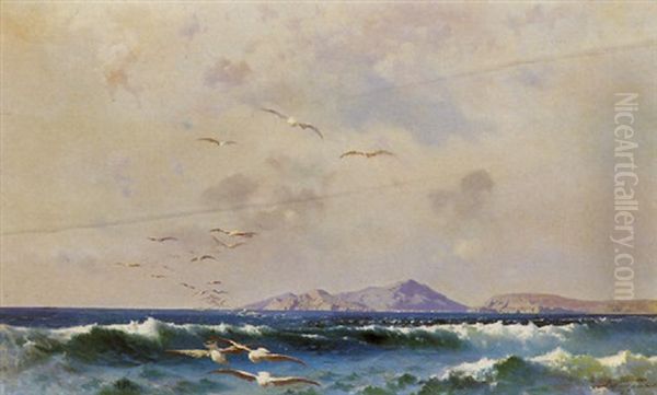 Gabbiani In Volo Oil Painting by Francesco Lojacono