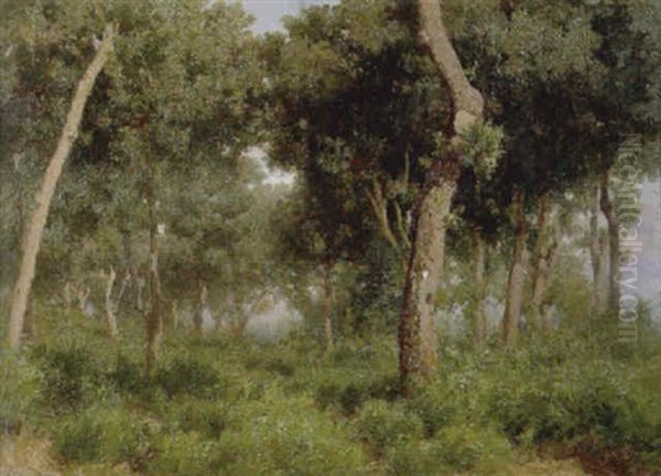 Bosco Oil Painting by Francesco Lojacono