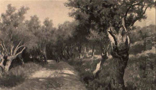 Sentiero Tra Gli Ulivi Oil Painting by Francesco Lojacono