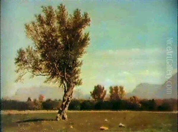 Campagna Siciliana Oil Painting by Francesco Lojacono
