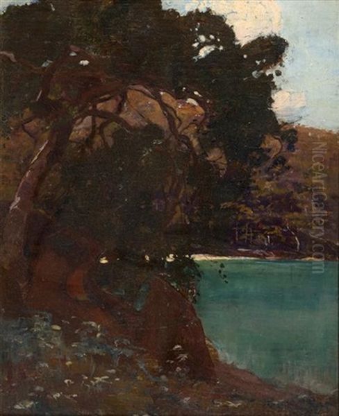 Sydney Harbor Oil Painting by Sydney Long