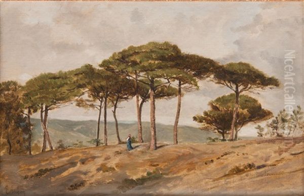 Paysage Aux Grands Pins Oil Painting by Emile Loubon
