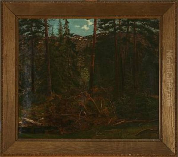 Forest Scene From Norway Oil Painting by Hans Lovaas