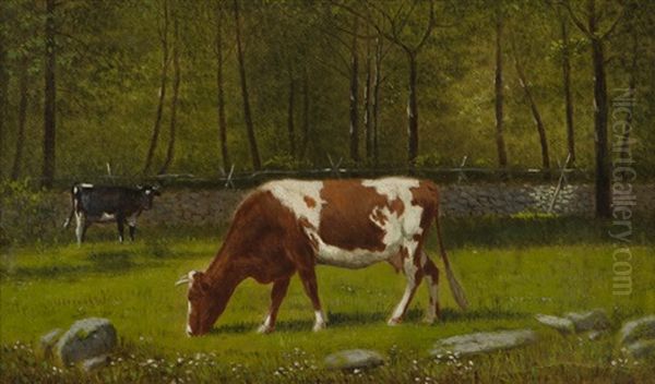 Grazing Cattle Oil Painting by Clinton Loveridge