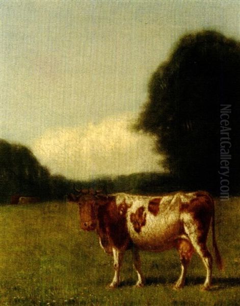 Cow In A Summer Pasture Oil Painting by Clinton Loveridge