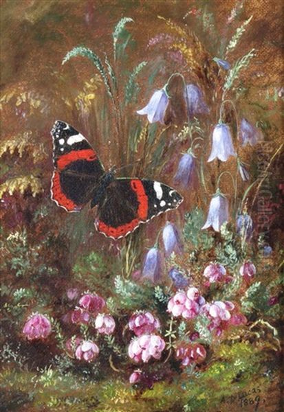 Red Admiral, Heather And Harebell Oil Painting by Albert Durer Lucas