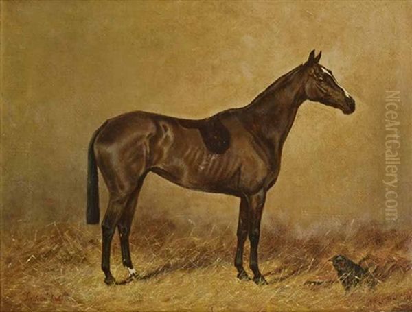 Indian Lady With Cat Oil Painting by Henry Frederick Lucas-Lucas