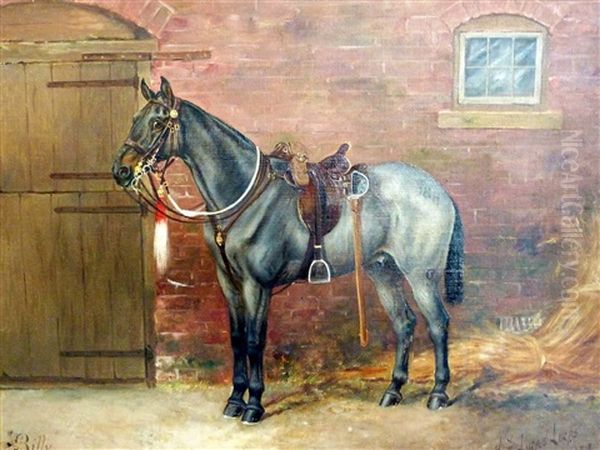 Billy-a Ladysmith Veteran Oil Painting by Henry Frederick Lucas-Lucas