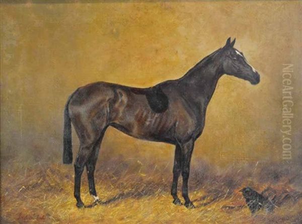 Indian Lady Oil Painting by Henry Frederick Lucas-Lucas