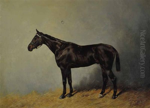 Dragoon Oil Painting by Henry Frederick Lucas-Lucas