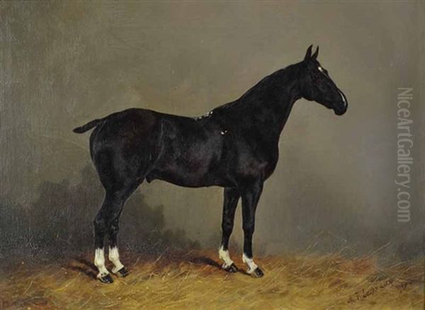 Whitesocks Oil Painting by Henry Frederick Lucas-Lucas
