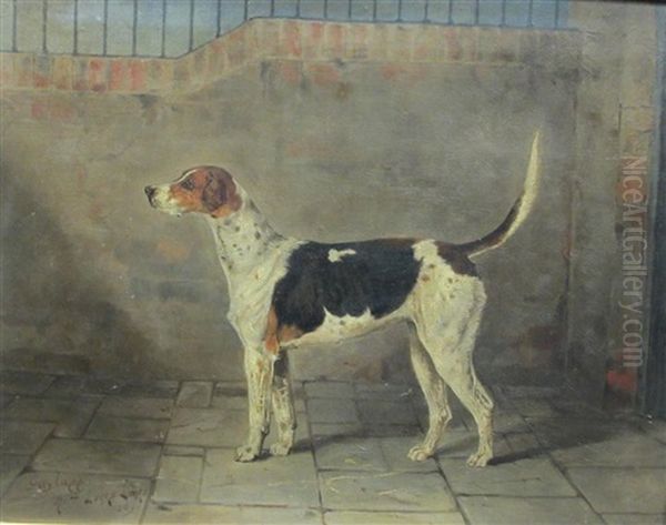 Gaylass, A Foxhound In A Stable Oil Painting by Henry Frederick Lucas-Lucas