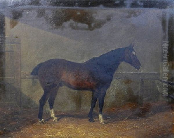 Portrait Of The Racehorse Dobbin In A Stable Oil Painting by Henry Frederick Lucas-Lucas