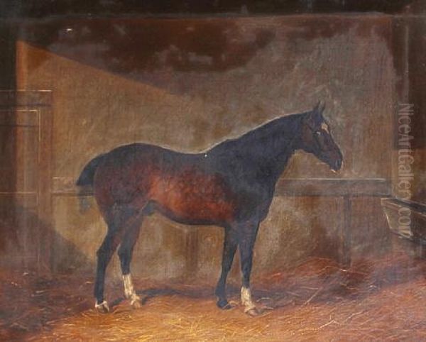 Dobbin - A Dappled Chestnut Hunter In A Stable Oil Painting by Henry Frederick Lucas-Lucas