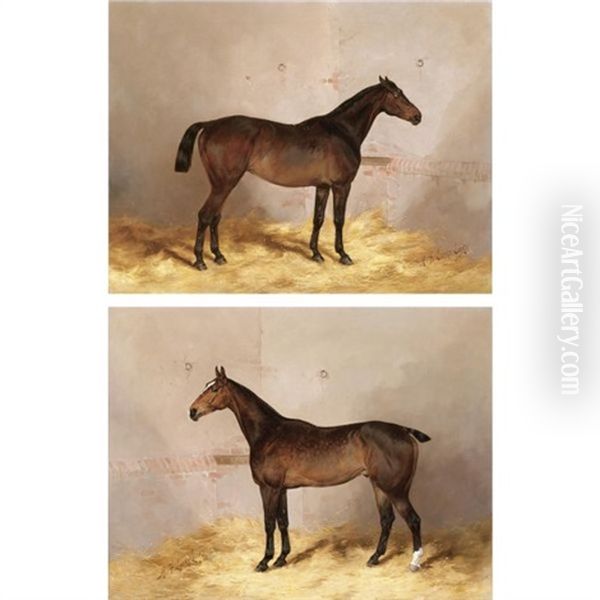 Portrait Of "pantaloon" In A Stable (+ Portrait Of "royal" In A Stable;' Pair) Oil Painting by Henry Frederick Lucas-Lucas