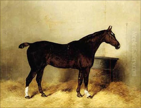Switch, A Bay Hunter In A Loose-box (+ Copenhagen, A Dark Bay Hunter, 1892; Pair) Oil Painting by Henry Frederick Lucas-Lucas