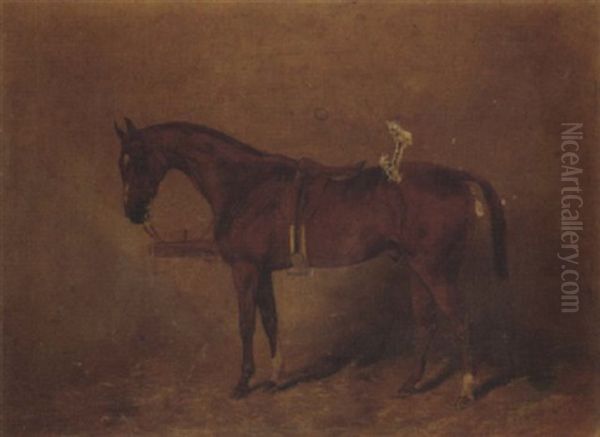 A Saddled Chestnut Polo Pony In A Stable Oil Painting by Henry Frederick Lucas-Lucas