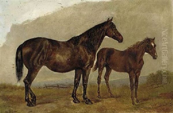 A Mare And Foal In A Field Oil Painting by Henry Frederick Lucas-Lucas
