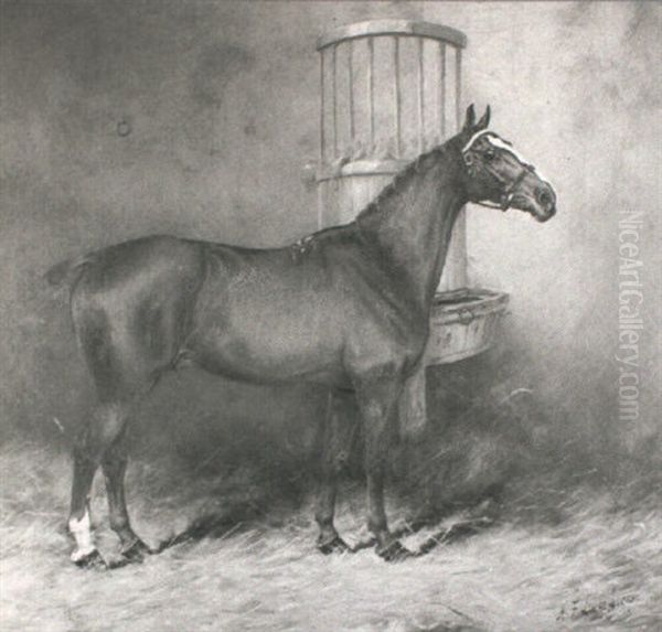 Tom Thumb - Portrait Of A Chesnut Hunter In A Stable        Interior Oil Painting by Henry Frederick Lucas-Lucas