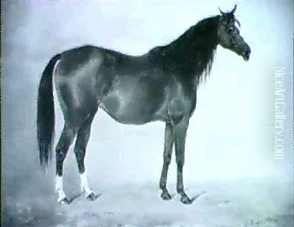 Mint Sauce, A Bay Racehorse In A Stable Oil Painting by Henry Frederick Lucas-Lucas