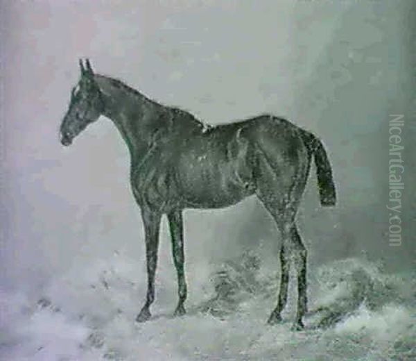 Mrs. Stead, A Bay; Sunset, A Bay;                           A Dappled Grey Oil Painting by Henry Frederick Lucas-Lucas