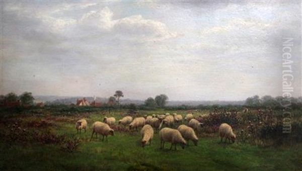 Sheep In A Meadow At Nuffield Oil Painting by William Snr Luker