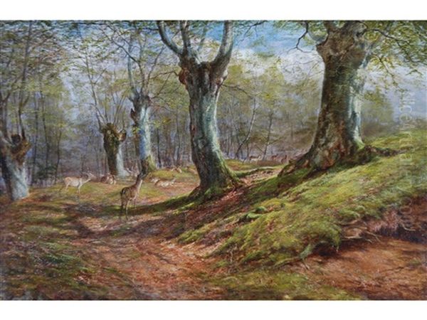 Deer In Burnham Beeches Oil Painting by William Snr Luker
