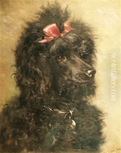 Portrait Of A Black Poodle With A Pink Bow Oil Painting by William Snr Luker