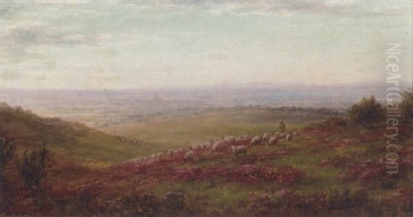 Kingley Vale Looking Towards Chichester, West Sussex Oil Painting by William Snr Luker