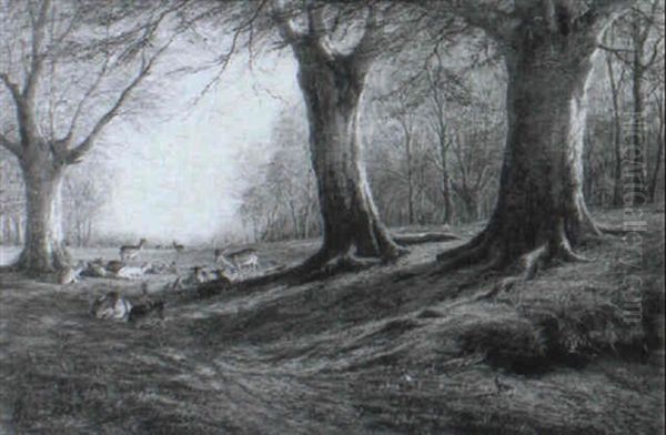 Deer Resting In A Woodland Glade Oil Painting by William Snr Luker